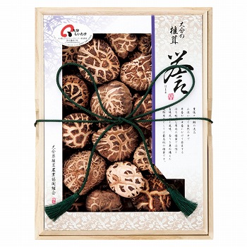 啪ő_Ƌg 啪Yő ԓ~(ǂ) _ (_-50)